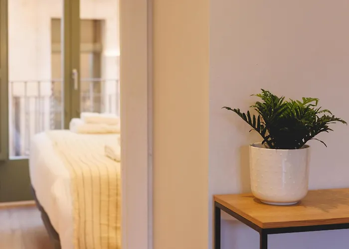 Bravissimo Calderers El Llop, With River Views Apartamento Girona